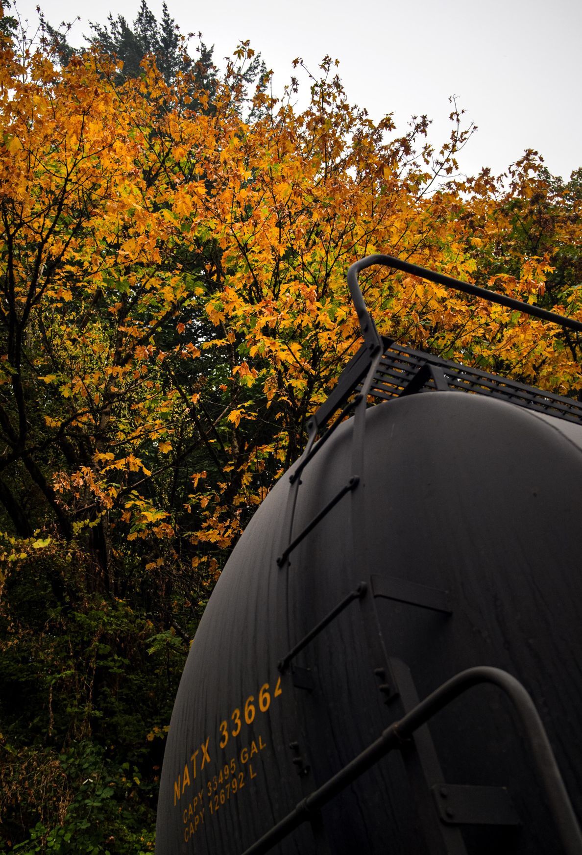 Fall is here